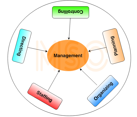 Apple organizing functions of management